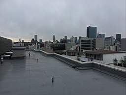 08roof.JPG